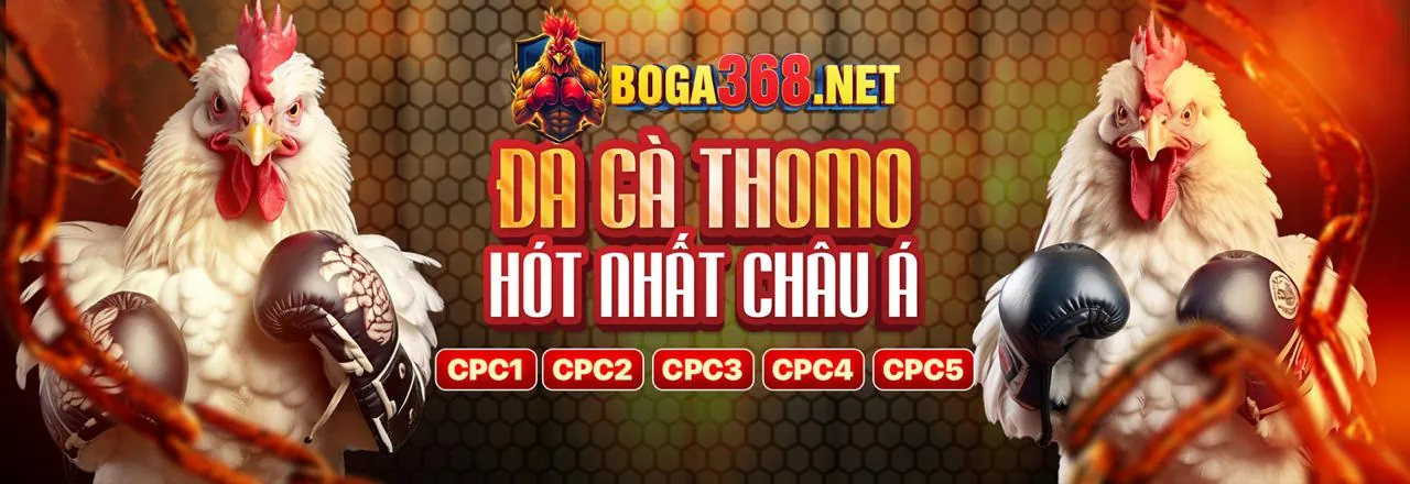 Đá Gà Trực Tiếp v788 - Sân Chơi Hấp Dẫn Nhất 2026
