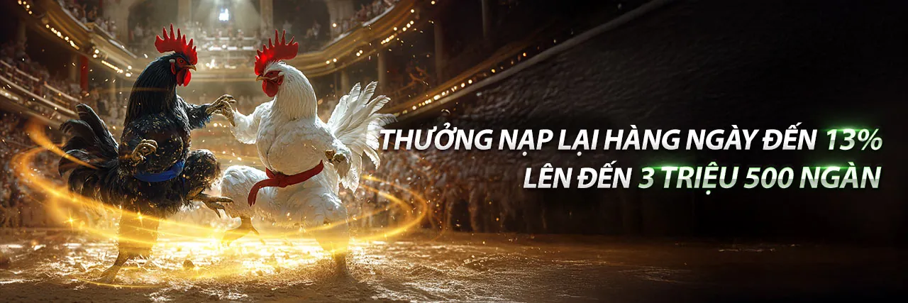 Hình ảnh đại diện Điều khoản & Điều kiện Dịch vụ v788 link vào